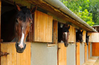 free Penrhyn Coch stable construction quotes